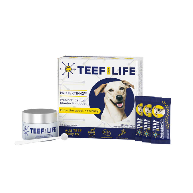 TEEF for Life: Protektin42 Water Additive For Dogs - Powder - 90 packets