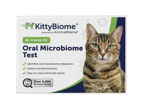 Oral Microbiome Test for Cats