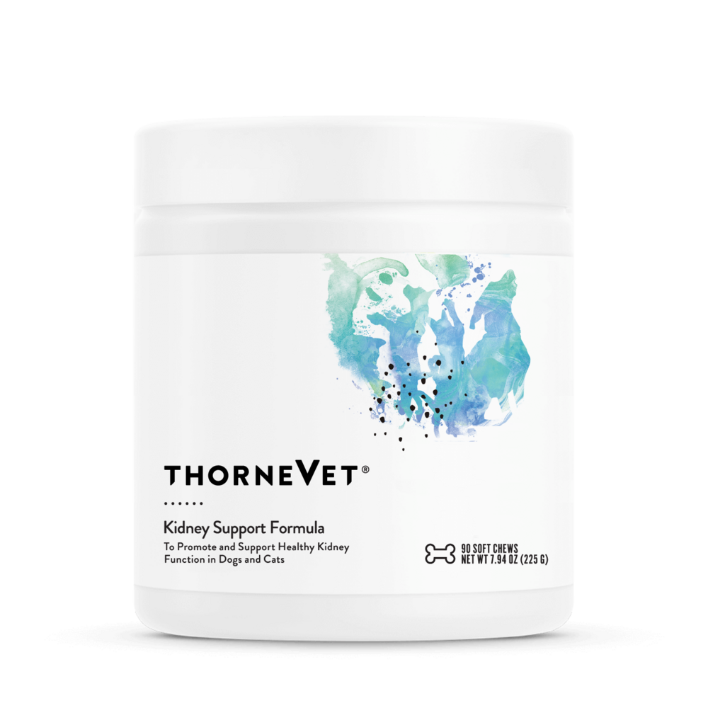 Kidney Support Formula for Dogs & Cats - Chewables - 90ct